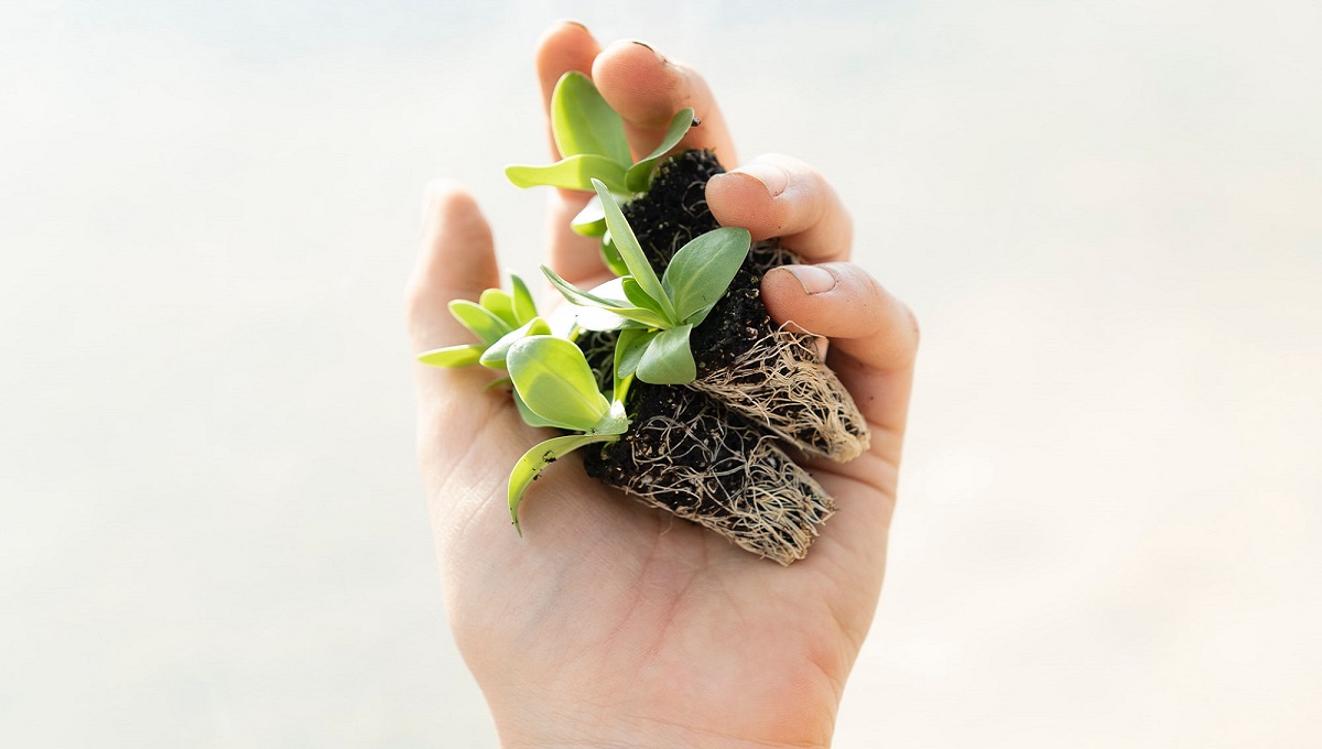 Hypergrowth HR Strategien